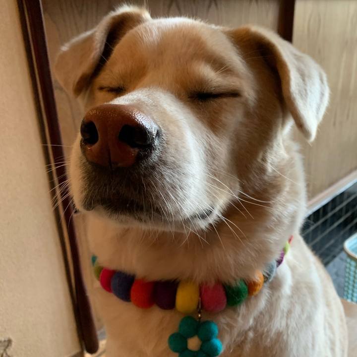 75c92695 2c25 413f b29c 42eca986b861 1577925369261