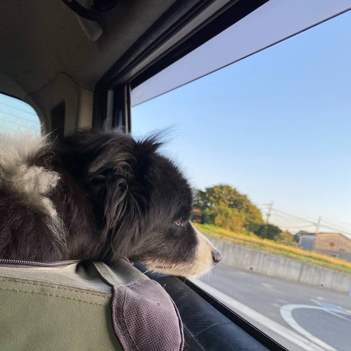 75c92e99 098e 4c8e 93df 1f460e535884 1697061561376