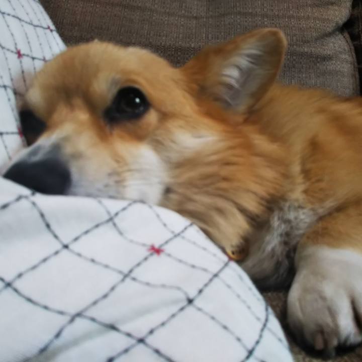 75c99337 953d 4fd9 9e1e 7d5bcbe94636 1527938525829