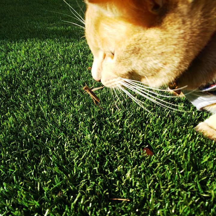 75c99a4e d36d 4e40 8f57 10f38f016e47 1569366378962