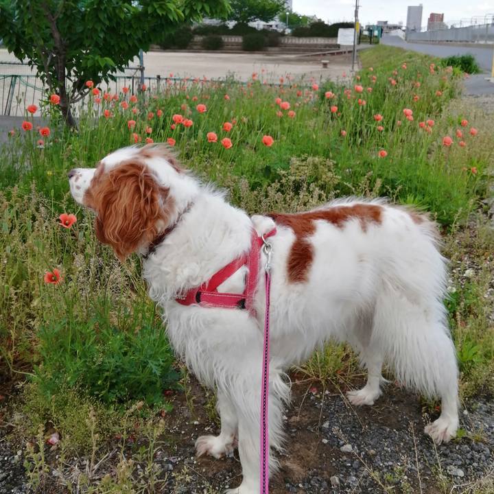 75c9a6eb 20a3 4f59 b004 d39f76194b29 1619927765907