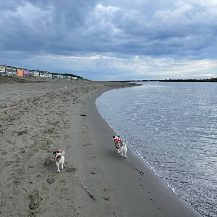 75c9f502 cf40 41ef 9ba3 d6bcfa13c9c6 1654818443232