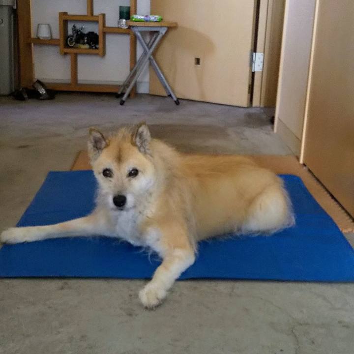 75ca066e 80d5 4130 a7a0 b89db2339b06 1592183871235