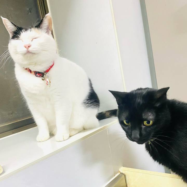 75ca4e2b f299 4ec0 99e1 f0f42bfbd246 1731666598407