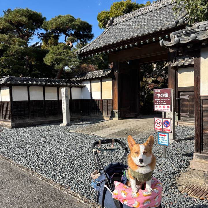 75ca5093 f66e 4cb1 bb89 b2fec9aff03d 1763959963830