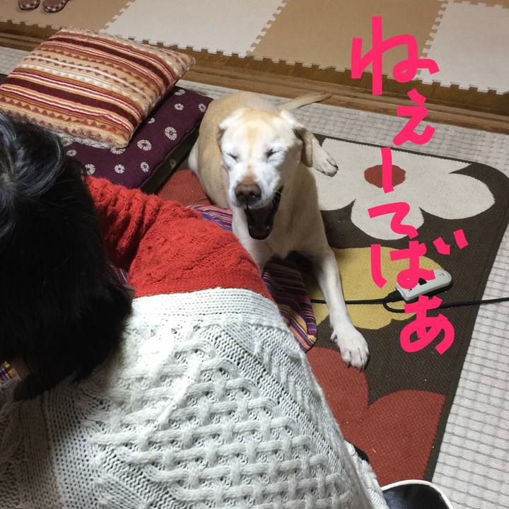 75cadab0 24d9 45c0 a699 2e3efaaf567d 1515147976700