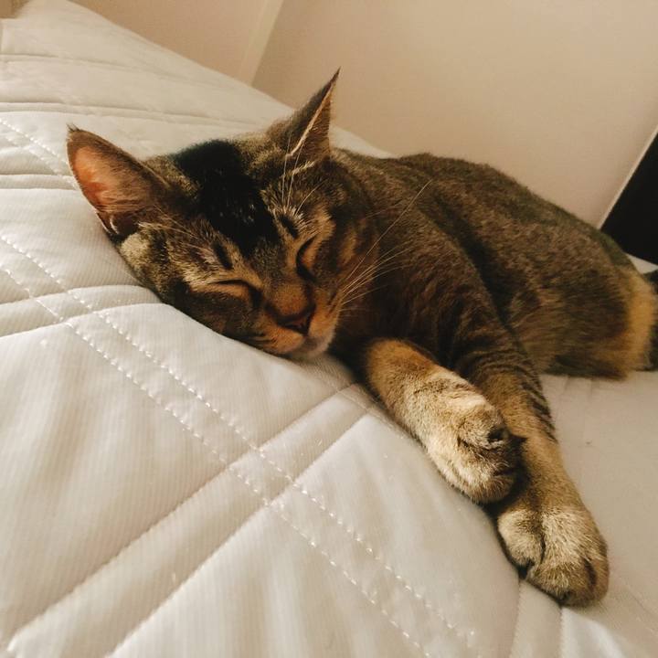 75cb49b0 d146 41fe b4ea 9974a8475393 1531796008577