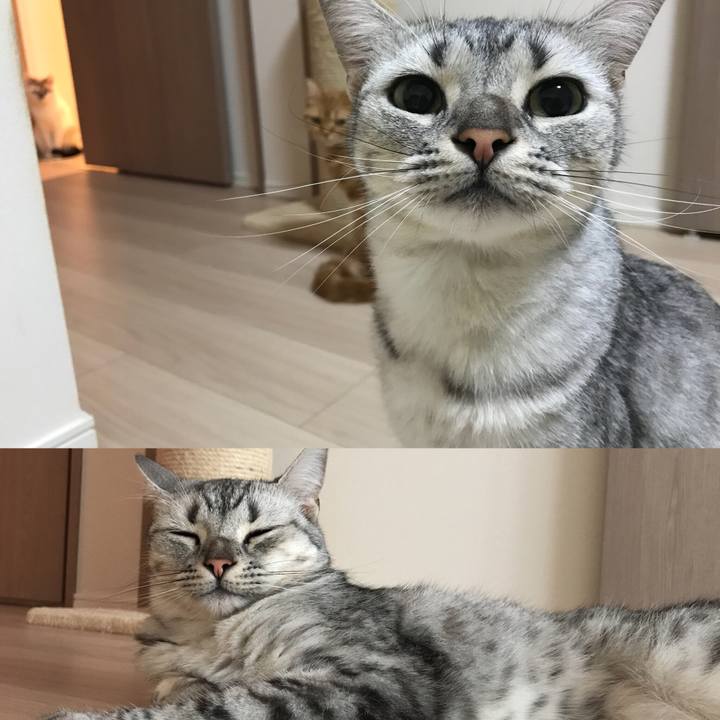 75cb8178 004f 430e 9be7 01aa553182fb 1537958234516