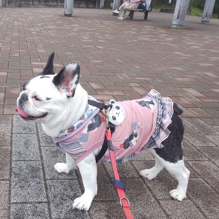 75cb88e9 d9d1 48cc b025 e472245a06dd 1631944852421