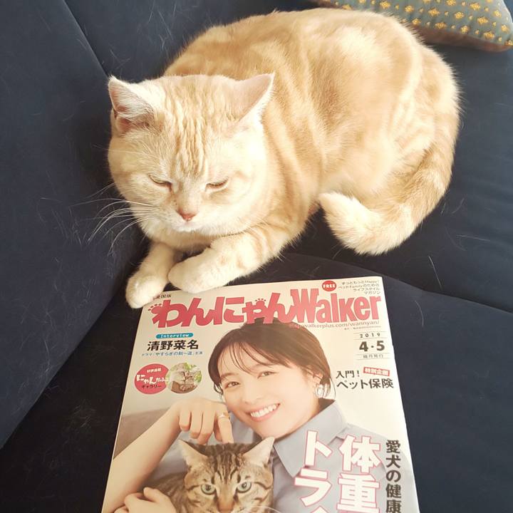 75cbc6fb 30db 4eb7 b7f2 44b1087ae08e 1555979038023