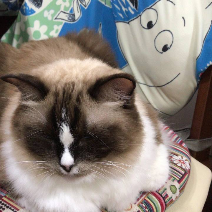 75cbd066 76cb 4167 a88a 7f5908cc6892 1509279614798