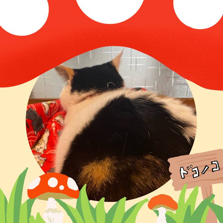 75cbe269 75b0 43a2 b609 3e825ca77bb9 1729761293212