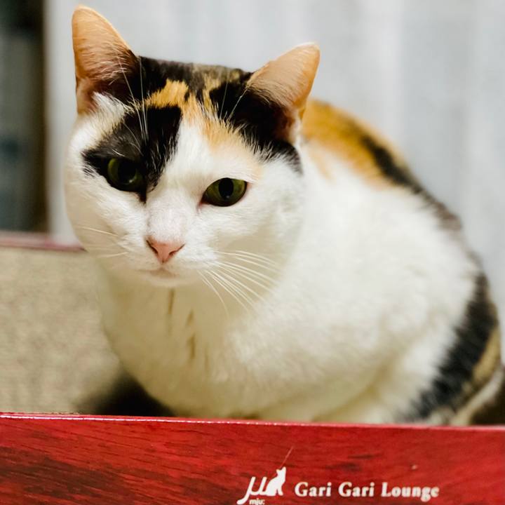 75cc2a2f a0d8 4473 a88f 0be40a1b0488 1614825823660