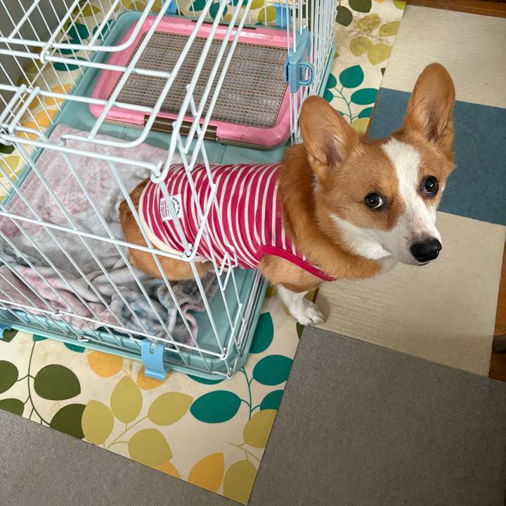 75cc2baf f16f 4366 92d7 2e3d64ca8561 1771998047707