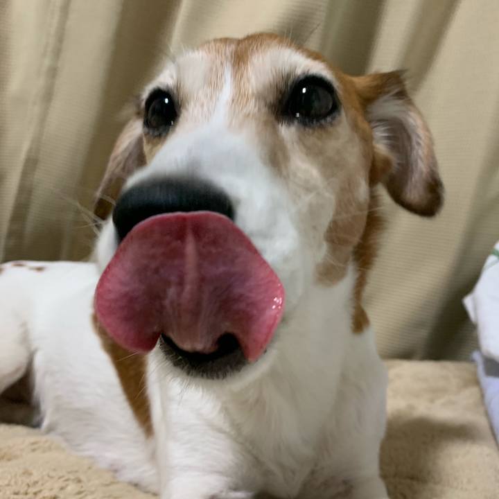 75cc3ea0 6b89 4088 a6dc afbe2c37c0e4 1561470820238