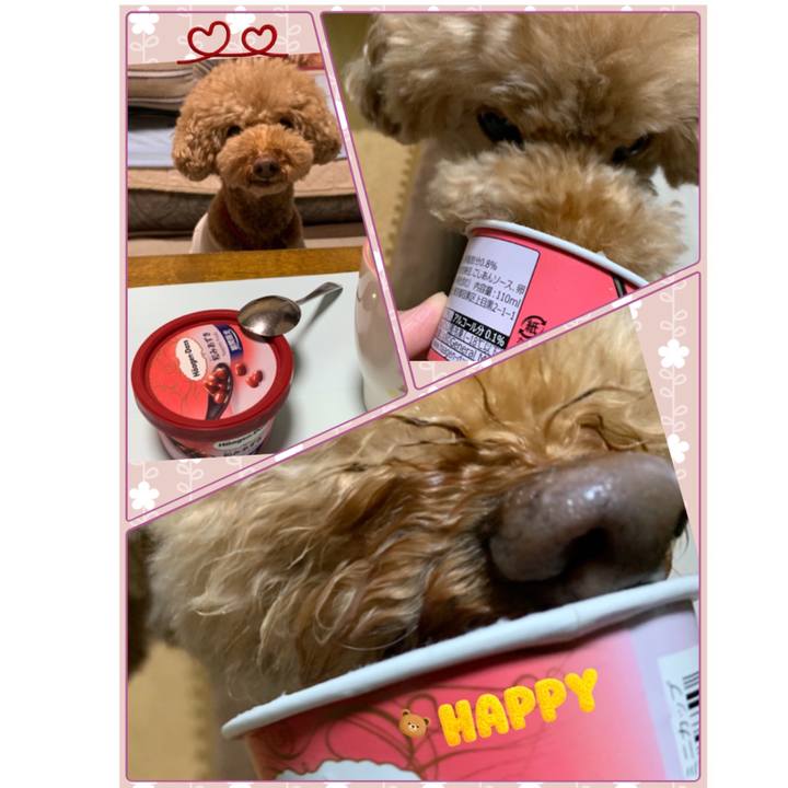 75cc47dd bb02 4242 be02 5dc60dd1a504 1547028956308