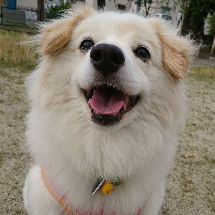 75cc5e82 d249 4a69 82da ab7d061f7e2a 1531691735217