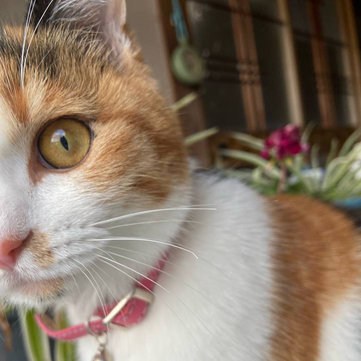 75cc756f 772a 4990 b146 25deada83bb1 1645964726241