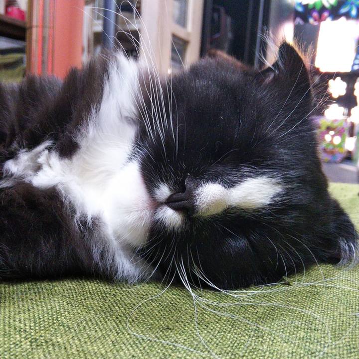 75cca3e1 f39e 4301 b08a d5738fefee68 1643802676650