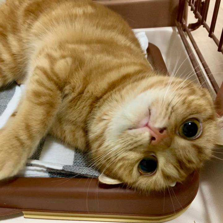 75cd0216 a35b 45d8 9557 a51f2b089b8c 1557664955370