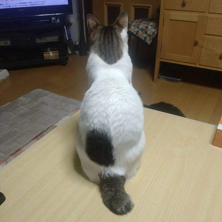 75cd62e0 bd15 4fbd b082 0c4b35e56464 1735990862947