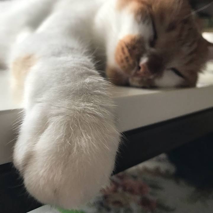 75cd6efd c4ec 4679 bb8c f1dc5d05af3c 1569718659149