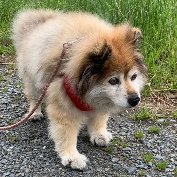 75cd7383 5ae5 4d54 b8e3 26205877c77b 1659974817623