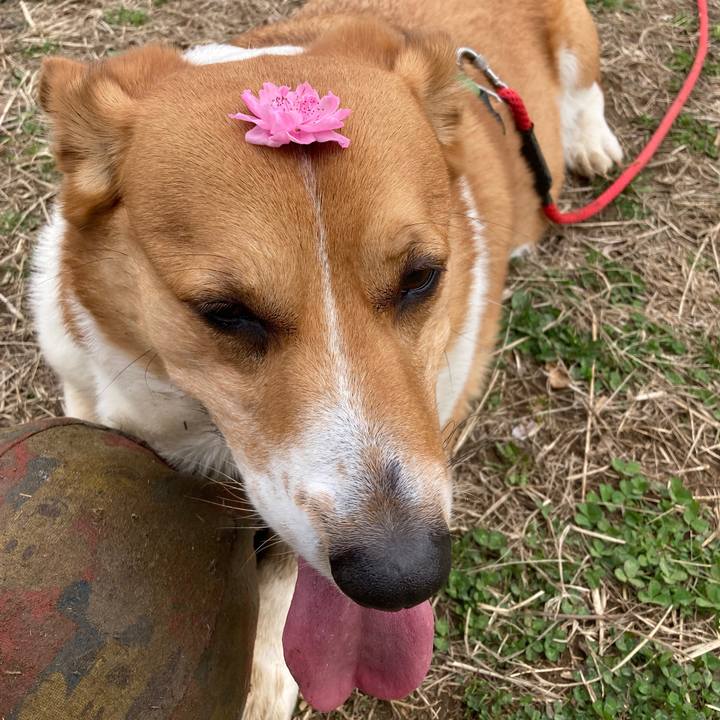 75cde7bc 5fff 4847 a941 33c727967b8c 1743468440589