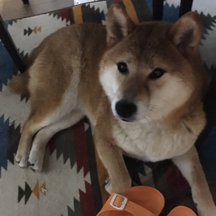 75ce003c 54e1 43c4 9f88 8a6d575d3f1f 1530827470294