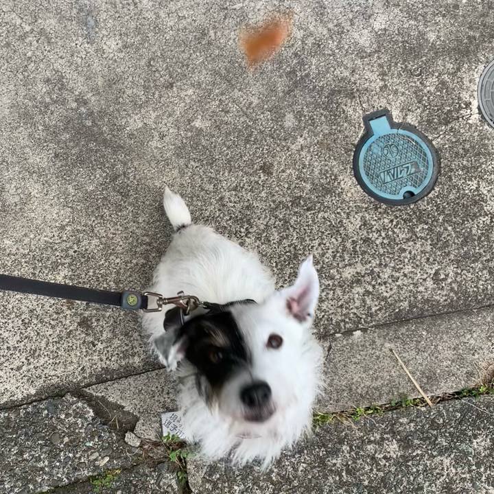 75ce01a5 5fb5 4953 bfa5 a1f9bf76e023 1700006141910