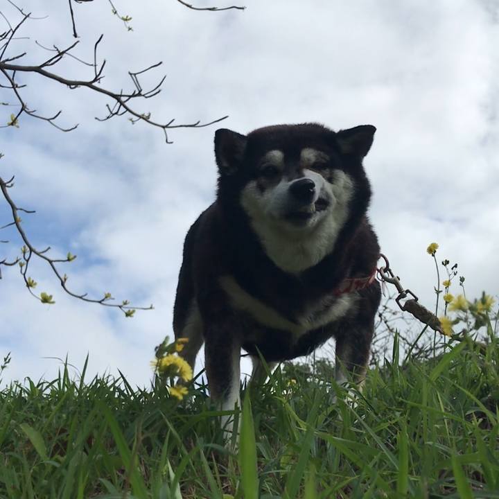 75ce0635 728d 4ad4 907c 8482509d790f 1648520094260