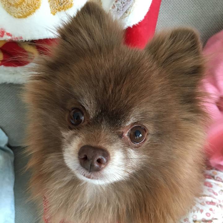 75ce1a2b 8c2b 4a8c aac4 fcdb148ff126 1518666307517