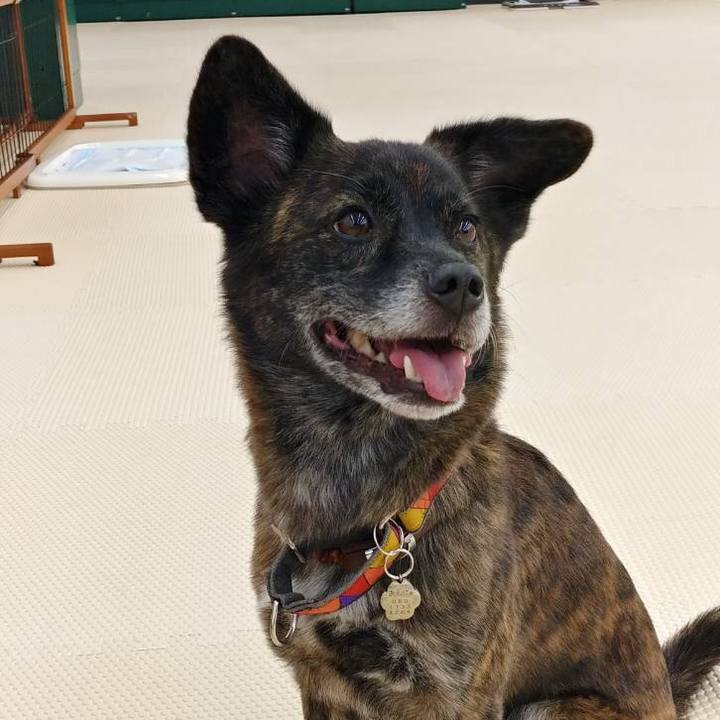 75ce1dde 53d7 4240 86aa 0bd7535877ec 1542294385181