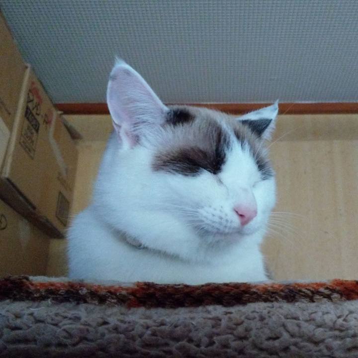 75ce2167 428e 45ed bb46 139714a4d5ef 1606306004889