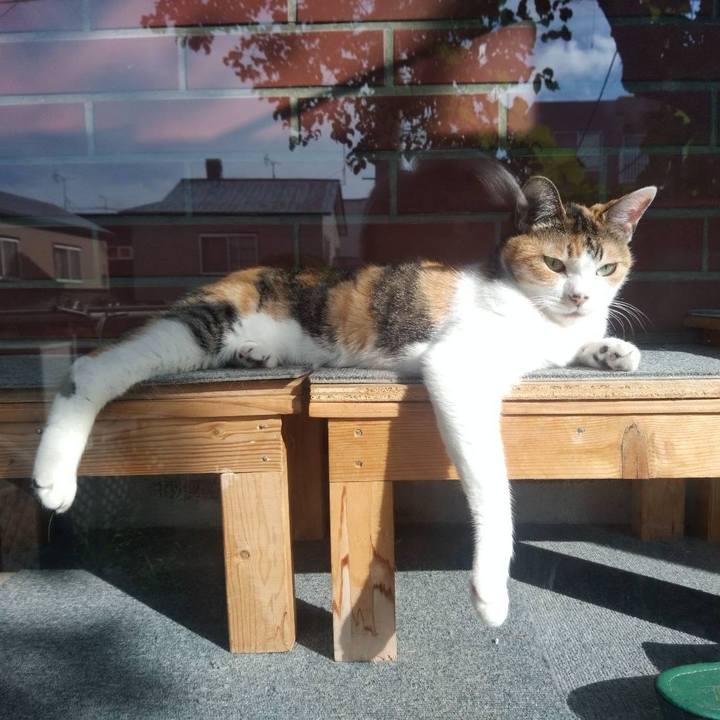 75ce7a3a 2d85 4e14 a2d9 b566671758b7 1629797986319