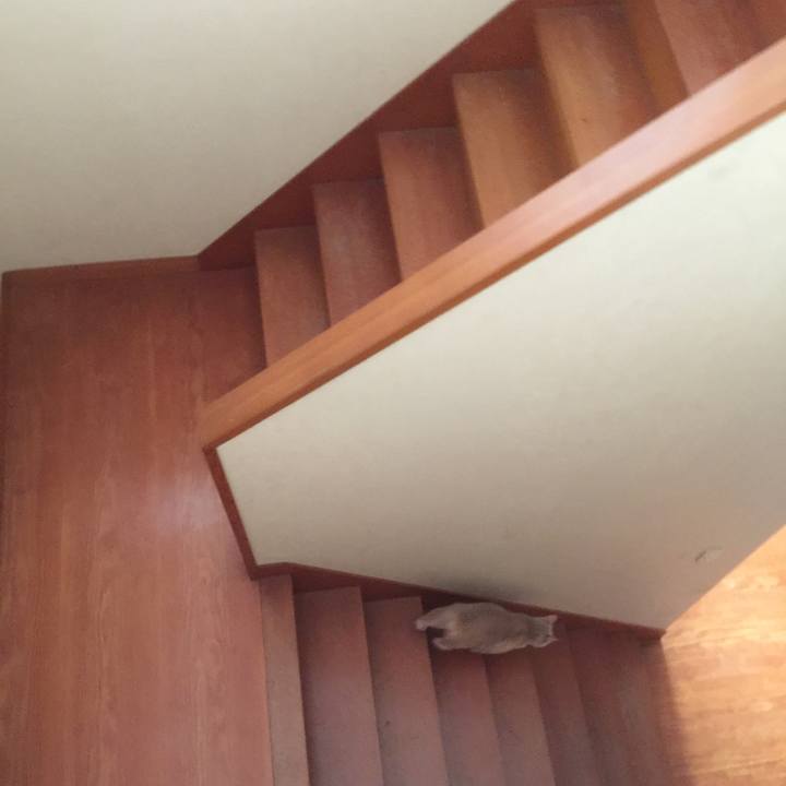 75ce84b8 d52b 4098 9efa c33f82860c7a 1565534146614