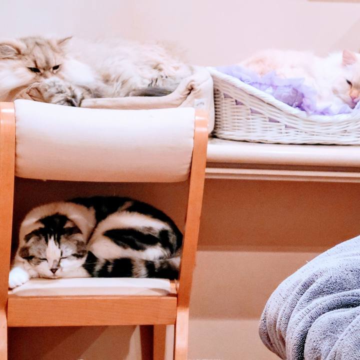 75cea830 c1be 4a2a 93e7 4b9f8bb88ef3 1706572890887