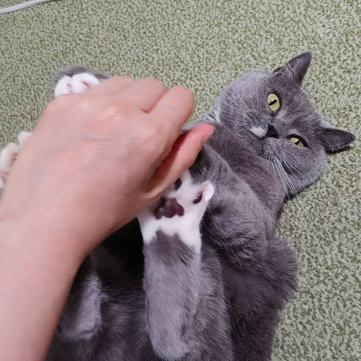 75ced7ec ebf8 45f4 8ff5 a53eb6edae48 1753097081251