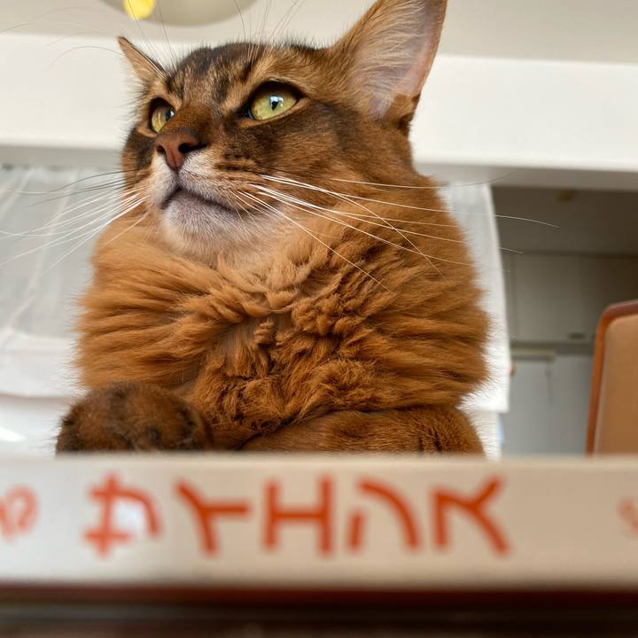 75cedc38 1a25 4626 8882 f590b11becf0 1670295852115