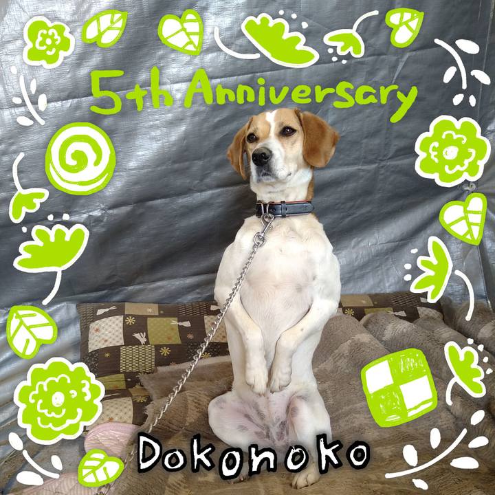 75cf451a e7e1 4325 8639 725965d0c989 1622883090545