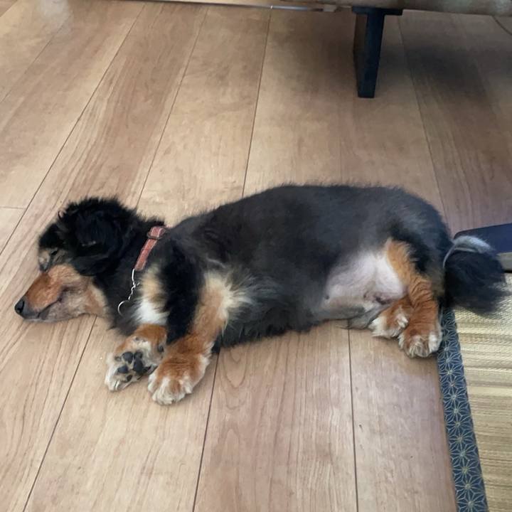 75cf7a53 721d 4751 8d64 09b884213b3e 1753922921435