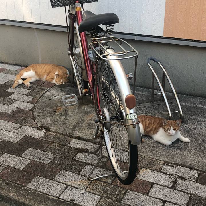 75cf8c31 0395 4d85 ab12 f0caa7daf965 1572726753818