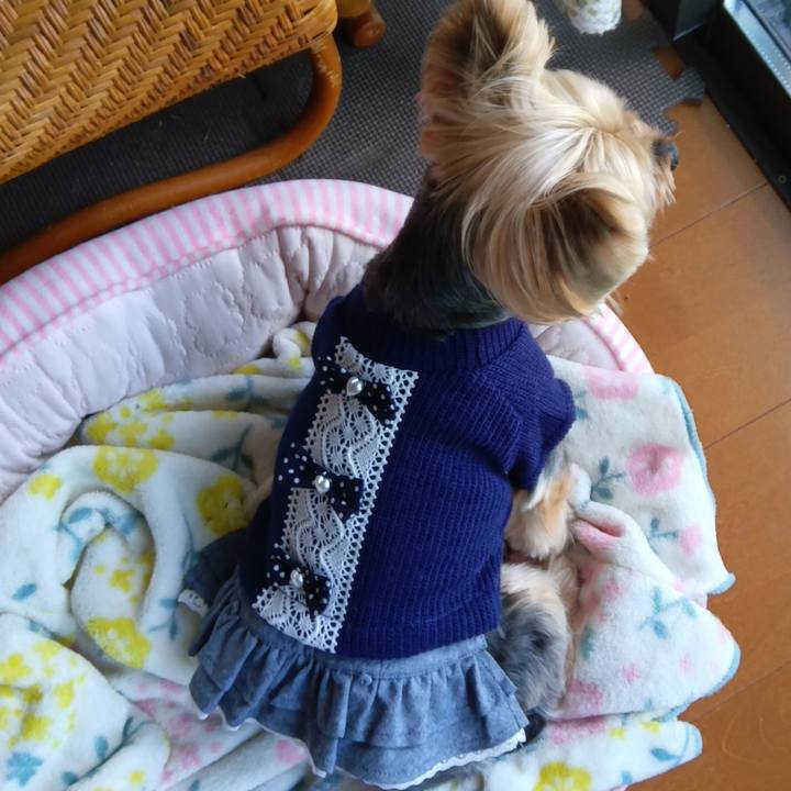 75cf9c5f 0a8c 4a75 b2d8 edf402f26fa5 1713343742570