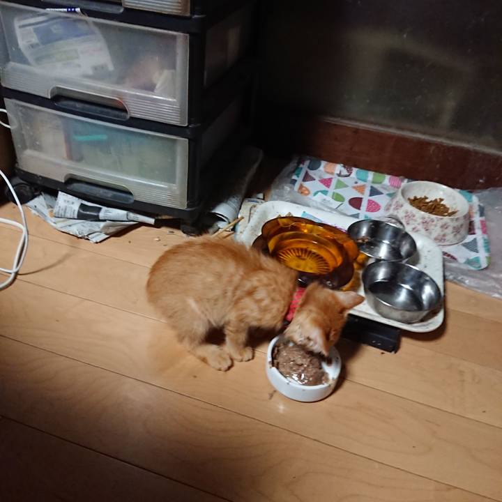 75cfbdcf 6e94 47f3 880d 3e5324f36b60 1628972843919