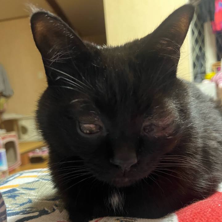 75cfe774 18c4 4abb b9c0 6103cee01e30 1681009227880