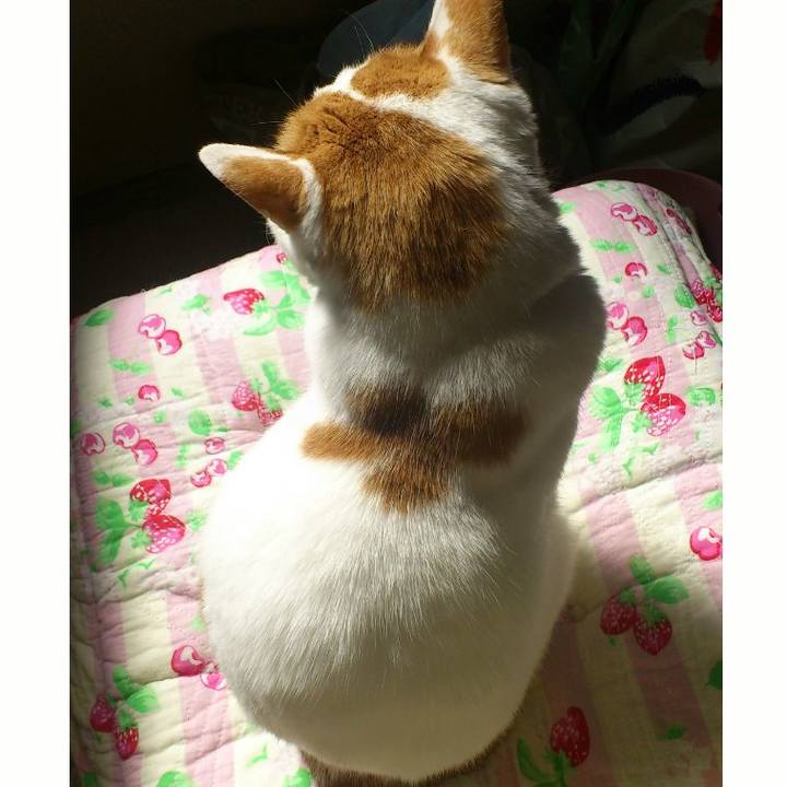 75cff16d 99cf 48c5 bec7 636ab8b727dc 1540004885733