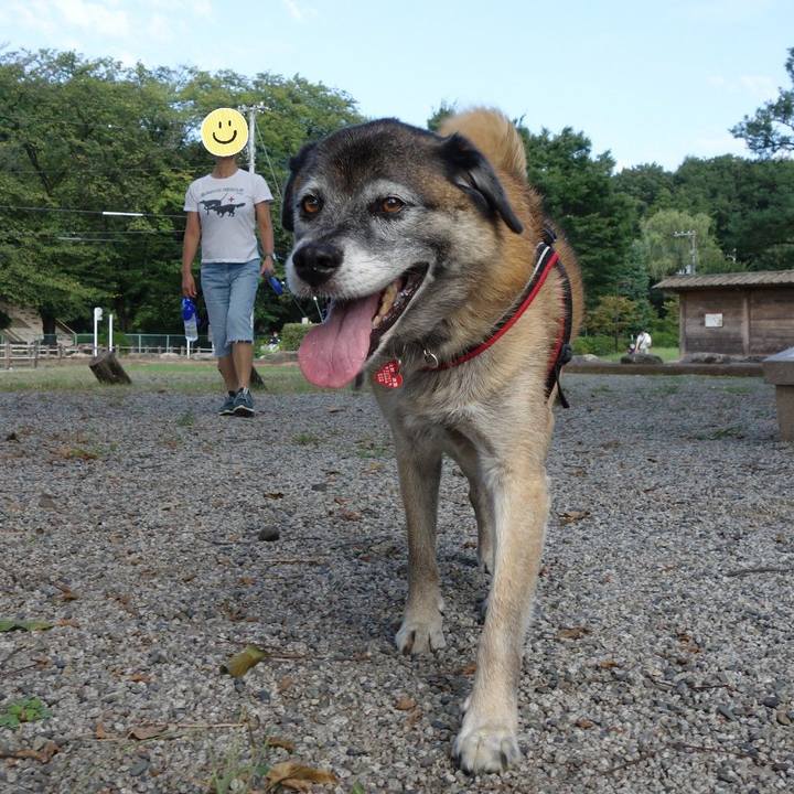 75d07e72 640a 4398 acae 965505642739 1614732439218