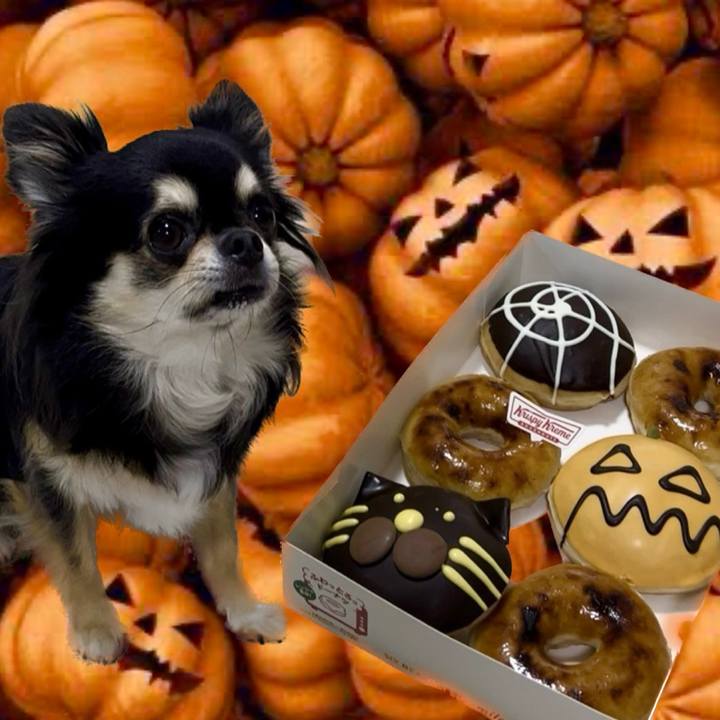 75d07e7e 4328 486f a0be 4a9f34ecfe44 1663926461348