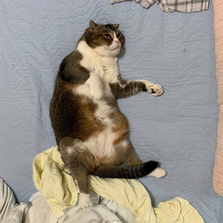 75d08c76 160d 4871 ab96 c69b4622ac1e 1569899440188