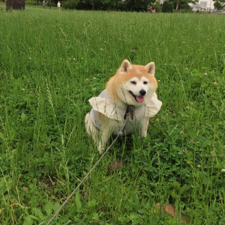 75d0f3c2 ff6c 4a6d 8273 e25fa3cbf5e3 1594078798793